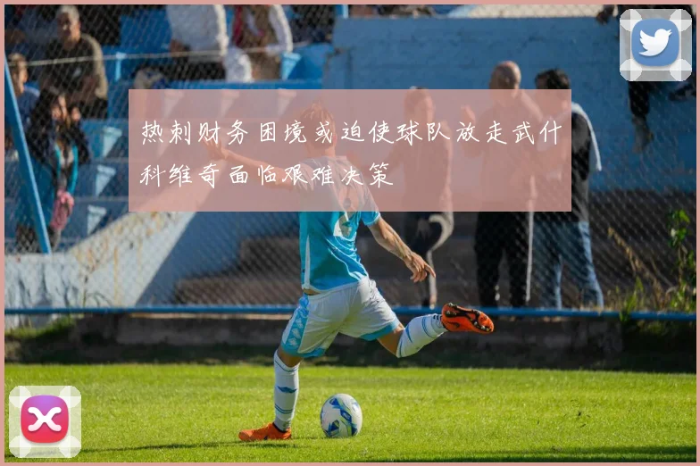 热刺财务困境或迫使球队放走武什科维奇面临艰难决策